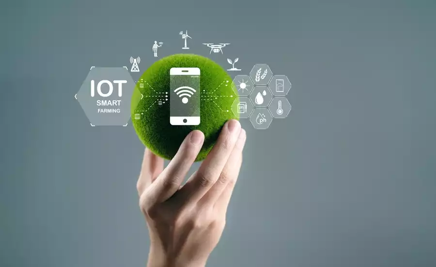 Innovative IoT smart farming concept with mobile technology, wireless sensors and data analysis for sustainable farming and precision agriculture solutions.