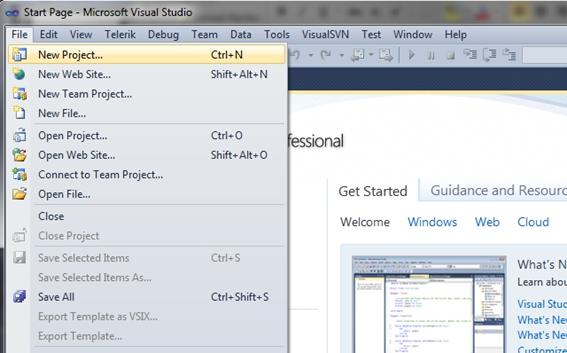 WPF Visual Studio 245